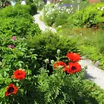 Tammwarfthuus Апартаменты *